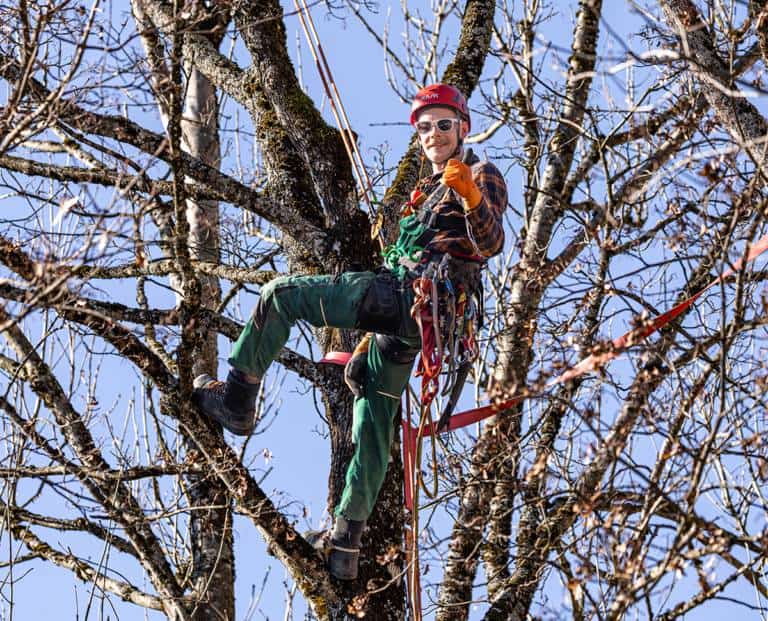 Karriere Die Ausbildung im Garten und Landschaftsbau