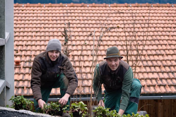 Stellenangebot Pflegegärtner bei Garten Reichl in Bad Wiessee